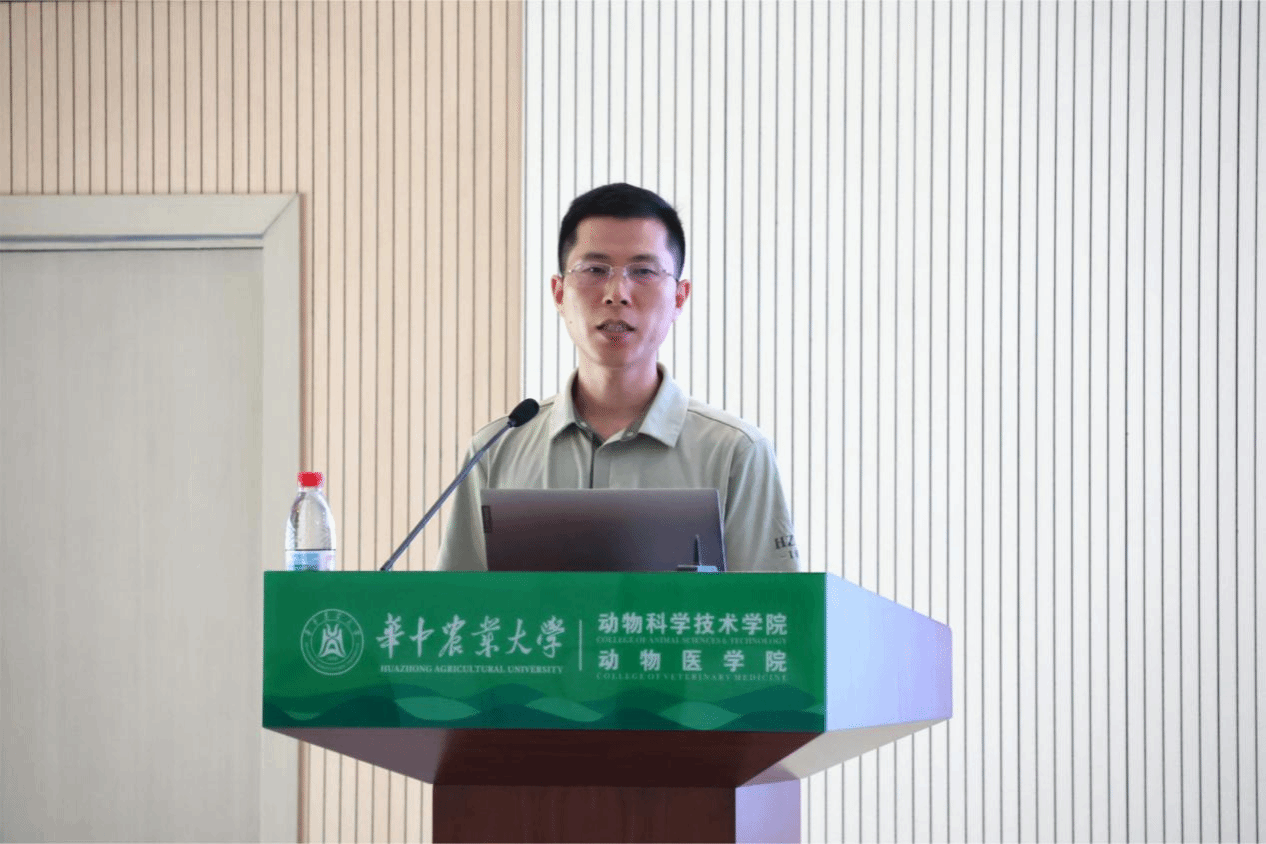 新2网址